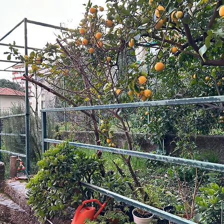 Residenza Giardino E Mare A Ciavai