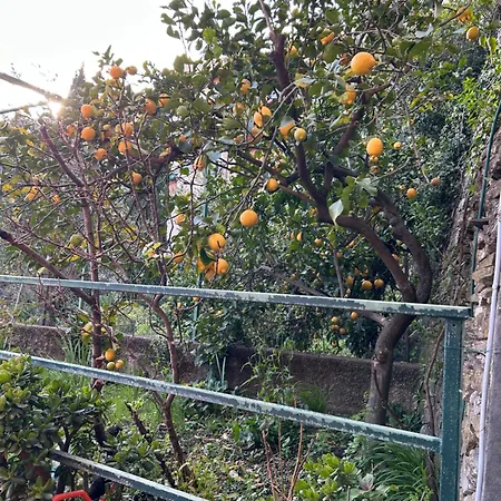 Residenza Giardino E Mare A Ciavai Apartment Chiavari